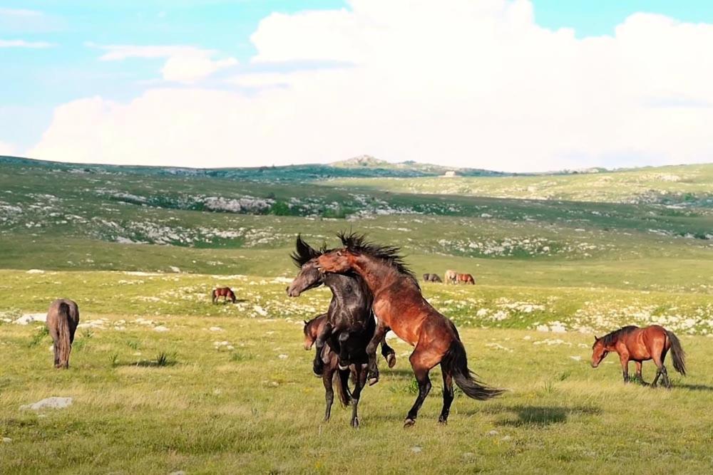 Apartmani Kaic Livno Exteriör bild